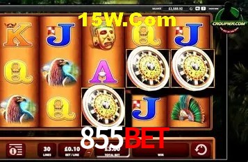 Experimente o Login Seguro Premium no 855Bet